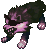 Fierce black wolf, front view
