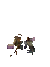 Hiding animation